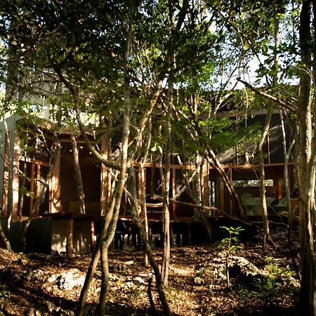 Ojo De Arbol, Boutique Cabin In The Real Jungle Tulum Exterior foto
