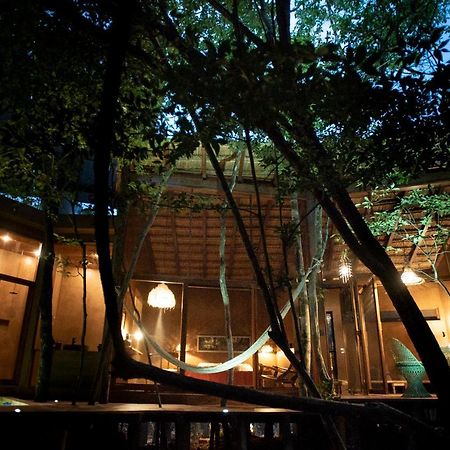 Ojo De Arbol, Boutique Cabin In The Real Jungle Tulum Exterior foto