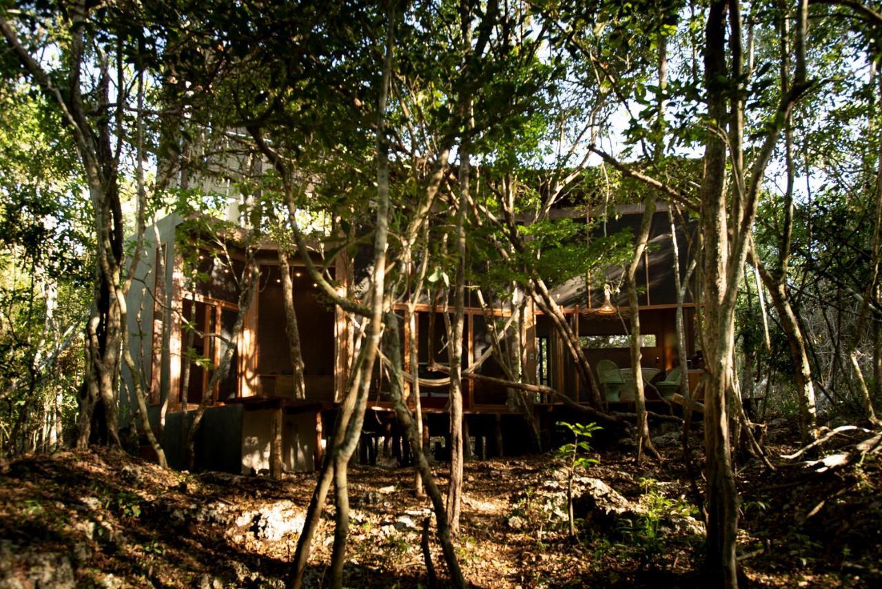 Ojo De Arbol, Boutique Cabin In The Real Jungle Tulum Exterior foto