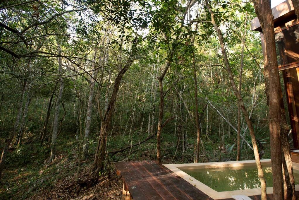 Ojo De Arbol, Boutique Cabin In The Real Jungle Tulum Exterior foto