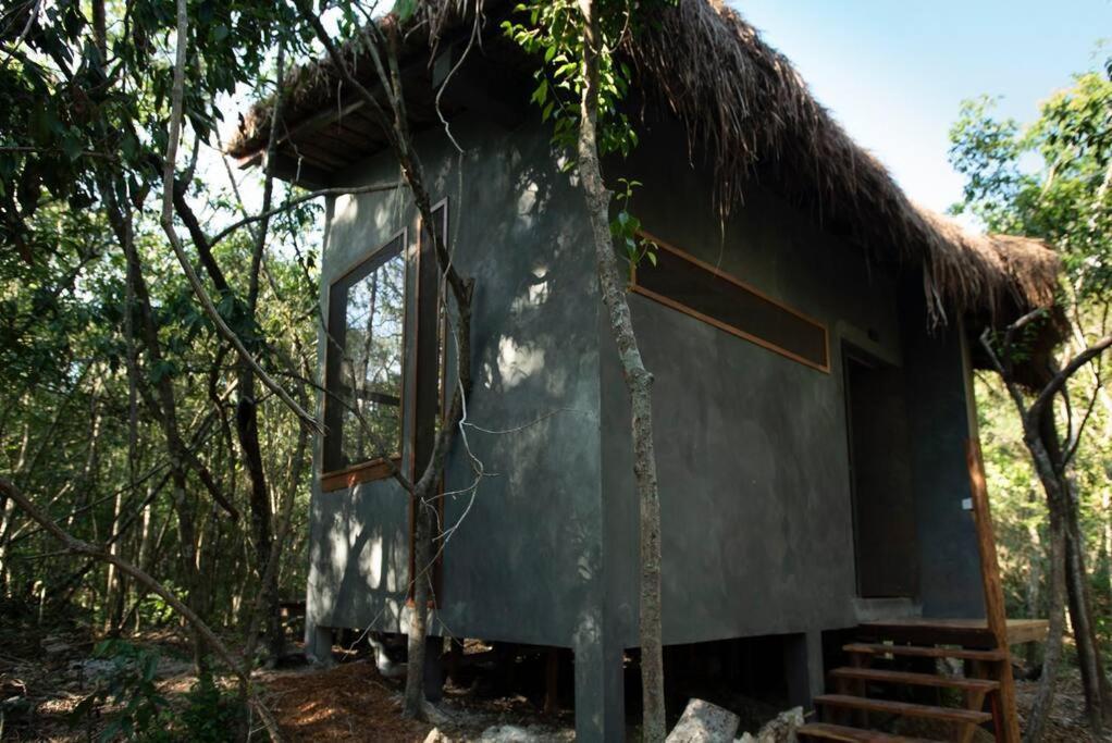 Ojo De Arbol, Boutique Cabin In The Real Jungle Tulum Exterior foto
