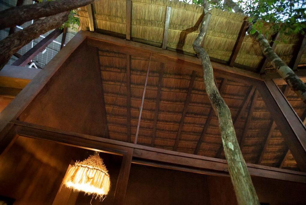 Ojo De Arbol, Boutique Cabin In The Real Jungle Tulum Exterior foto